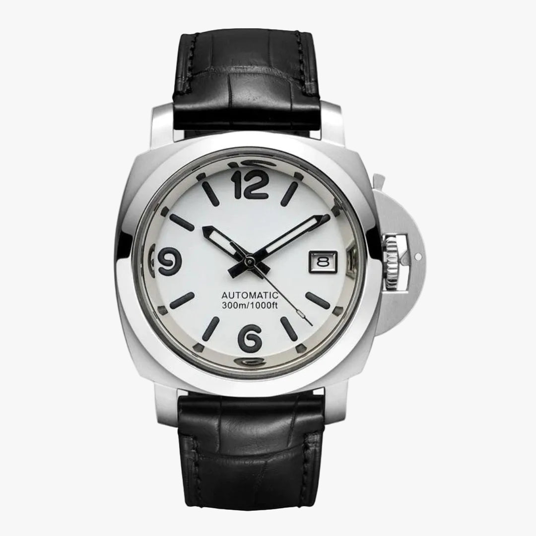 CUSTOM PANEIKO REGATTA MOD FROST SEAL EDITION - Monomods